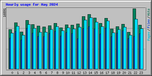 Hourly usage for May 2024