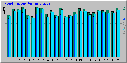 Hourly usage for June 2024