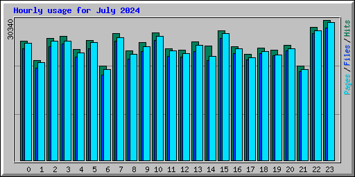 Hourly usage for July 2024